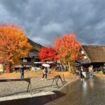From Takayama: Shirakawago UNESCO World Heritage Site Tour - Who Will Love This Tour?