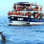 From Tangalle: Mirissa Whale Watching Tour with Breakfast - What the Reviews Say