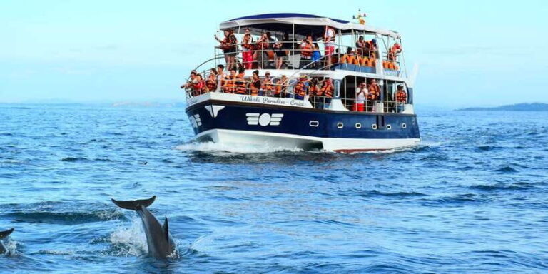 From Tangalle: Mirissa Whale Watching Tour with Breakfast - What the Reviews Say