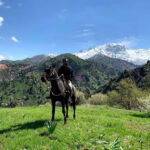 From Tashkent: Chimgan Valley Hiking Day Trip - An Authentic Day Among the Mountains