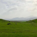 From Tashkent: Tavaksay Waterfall and Canyon Hiking Tour - Is It Worth the Price?