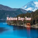 From Tokyo: 10-hour Hakone Private Custom Tour - Who Should Consider This Tour?