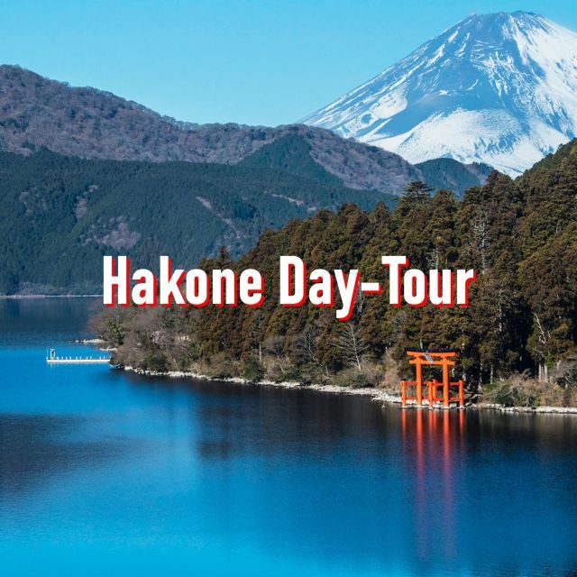 From Tokyo: 10-hour Hakone Private Custom Tour - Who Should Consider This Tour?