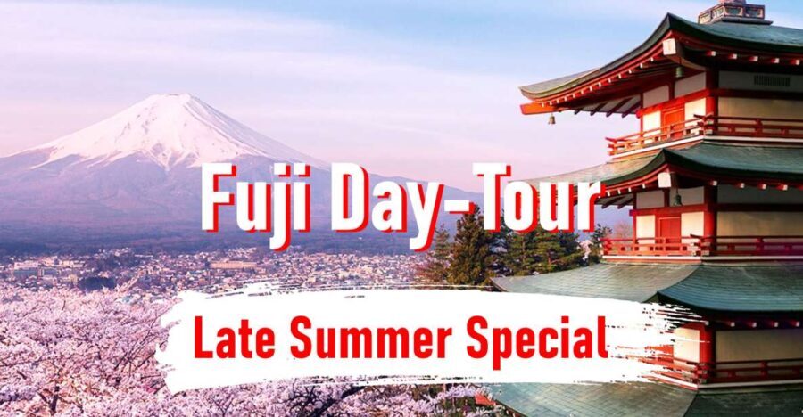 From Tokyo: 10-hour Mount Fuji Private Customizable Tour - A Thorough Itinerary Breakdown