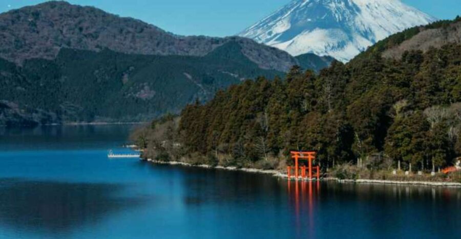 From Tokyo: 10-hour Mt.Fuji&Hakone Private Day Tour - What’s Included and What to Expect