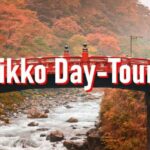 From Tokyo: 10-hour Private Custom Tour to Nikko - Why the Private Car and Customization Matter