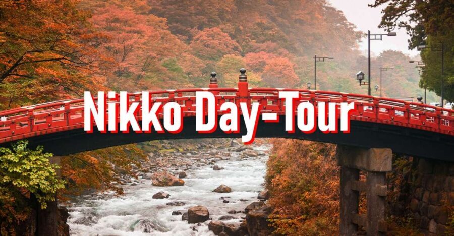 From Tokyo: 10-hour Private Custom Tour to Nikko - Why the Private Car and Customization Matter