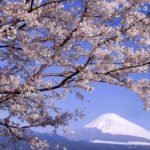 From Tokyo Custom Mt.Fuji tour with the Private van - A Close Look at the Itinerary