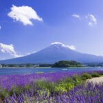 From Tokyo: Fuji Mountain Area - FujiQ - Lake Kawaguchiko - Chureito Pagoda - Exploring the Fuji Region: A Deep Dive