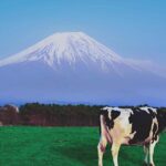 From Tokyo: Hakone and Mount Fuji tour with Transportation - FAQ