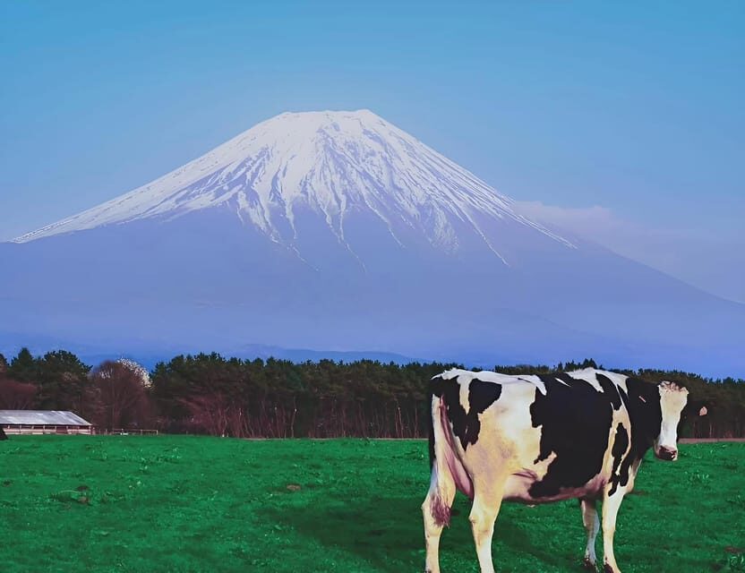 From Tokyo: Hakone and Mount Fuji tour with Transportation - FAQ