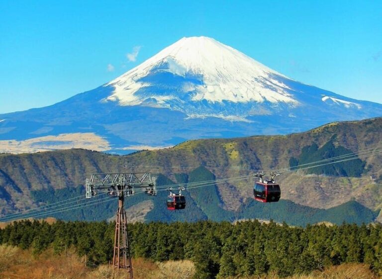 From Tokyo: Hakone Day Trip with Lake Ashinoko Boat Cruise - Analyzing the Value