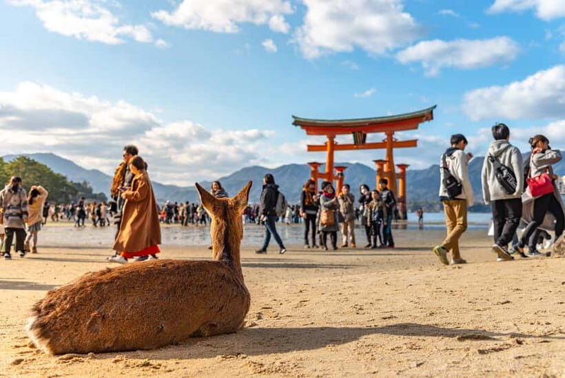 From Tokyo: Hiroshima and Miyajima Day Trip by Bullet Train - Who Should Consider This Tour?