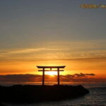 From Tokyo: Hitachi seaside Park & Oarai Isosaki Shrine Tour - Final Verdict: Who Will Love This Tour?