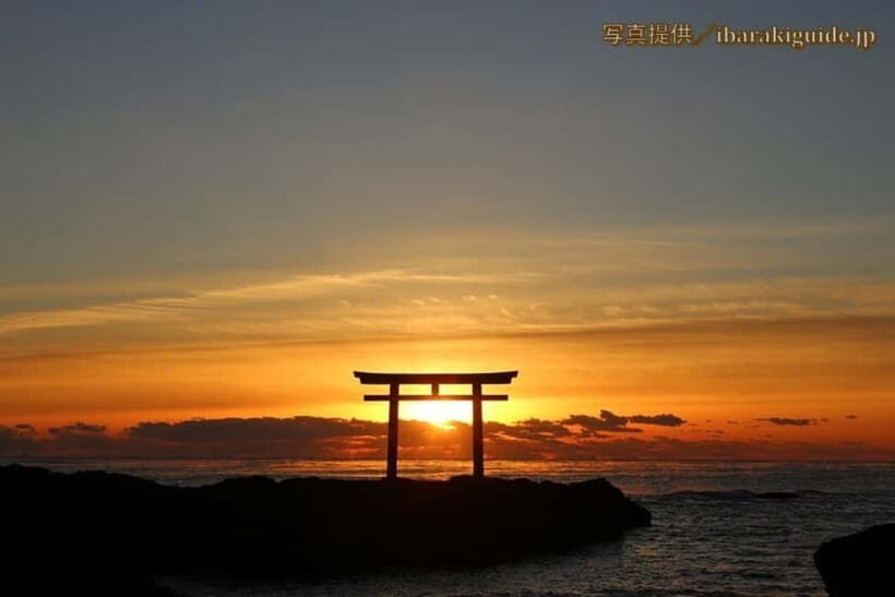 From Tokyo: Hitachi seaside Park & Oarai Isosaki Shrine Tour - Final Verdict: Who Will Love This Tour?