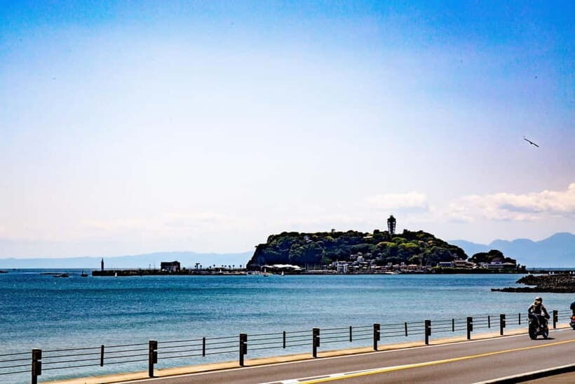 From Tokyo: Kamakura and Enoshima 1-Day Bus Tour - Who This Tour Is Best For