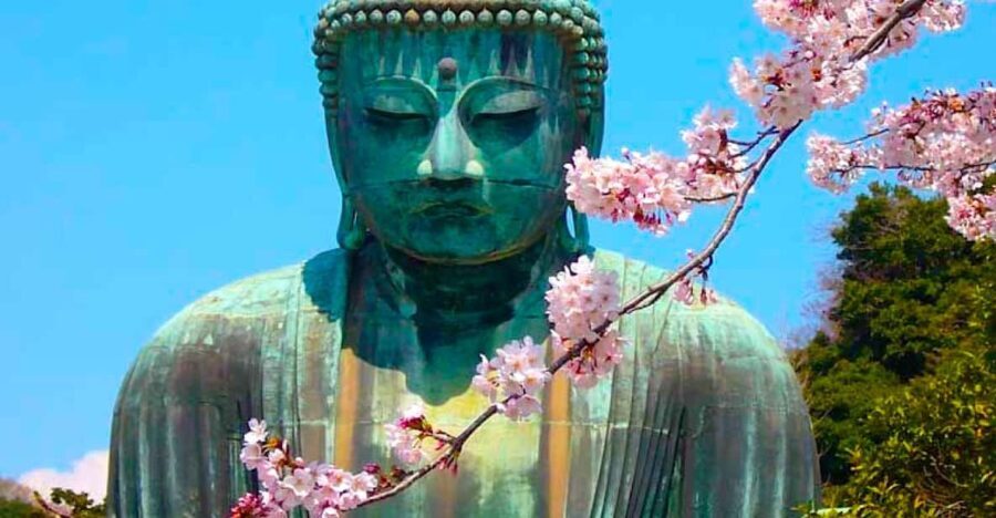 From Tokyo: Kamakura and Enoshima Full-Day Private Trip - Who Will Love This Tour?