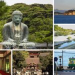 From Tokyo: Kamakura Full Day Tour with a Local Expert Guide - A Day in Kamakura: What You Can Expect