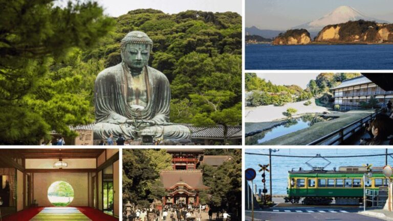 From Tokyo: Kamakura Full Day Tour with a Local Expert Guide - A Day in Kamakura: What You Can Expect
