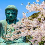 From Tokyo Kamakura, Hachimangu Shrine and Enoshima Full Day Tour - Who Will Benefit Most from This Tour?