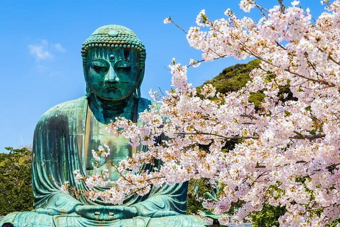From Tokyo Kamakura, Hachimangu Shrine and Enoshima Full Day Tour - Who Will Benefit Most from This Tour?