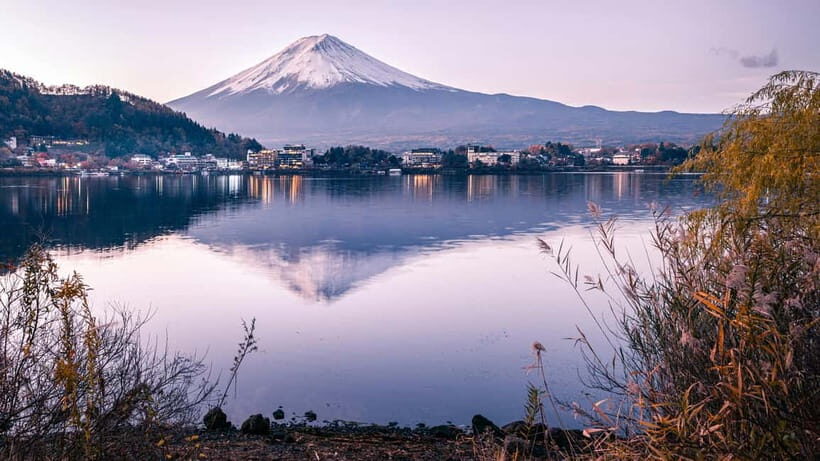 From Tokyo: Mount Fuji And Hakone Private Full Day Trip - Who Should Consider This Tour?