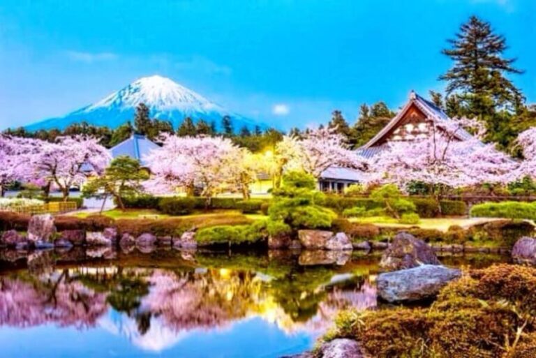 From Tokyo: Mount Fuji And Hakone Private Full Day Trip - Why This Tour Might Be Perfect for You