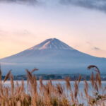 From Tokyo: Mount Fuji Full-Day Customizable Private Tour - What’s Included and What’s Not
