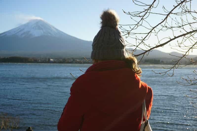 From Tokyo: Mount Fuji Full Day Customizable Private Tour - Exploring Japan’s Jewel: Mount Fuji and Hakone