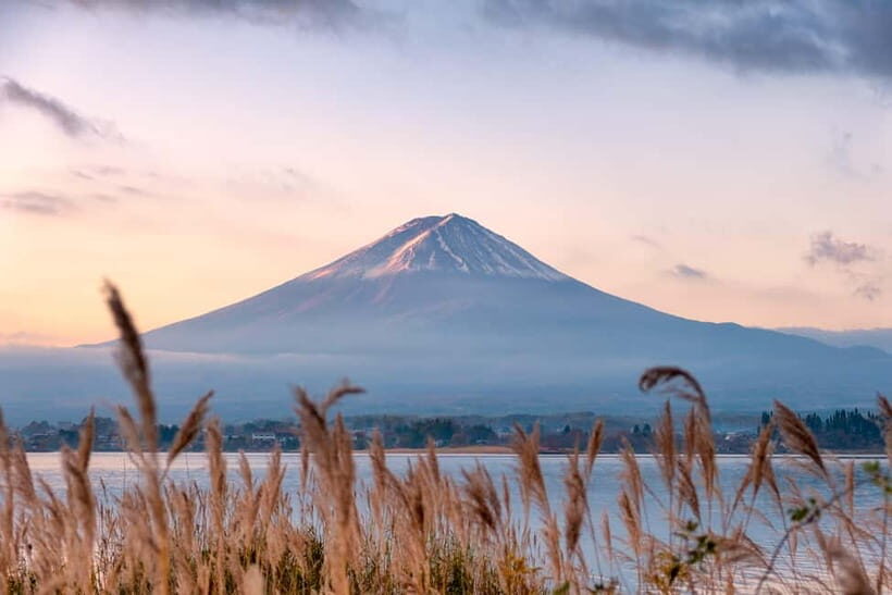 From Tokyo: Mount Fuji Full-Day Customizable Private Tour - What’s Included and What’s Not