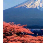 From Tokyo: Mount Fuji Full Day Private Tour English Guide - Real Traveler Feedback: Authentic Perspectives