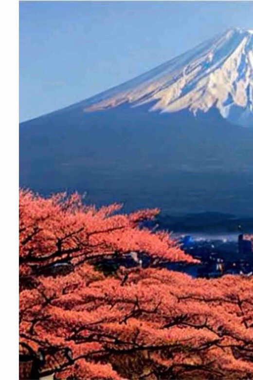 From Tokyo: Mount Fuji Full Day Private Tour English Guide - Real Traveler Feedback: Authentic Perspectives