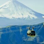 From Tokyo: Mount Fuji & Hakone Full Day Private Tour - Why This Tour Stands Out