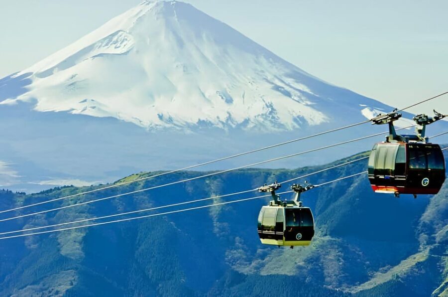 From Tokyo: Mount Fuji & Hakone Full Day Private Tour - Why This Tour Stands Out