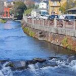 From Tokyo: Mount Fuji & hakone Private Full Day Trip - What Makes This Tour Stand Out?