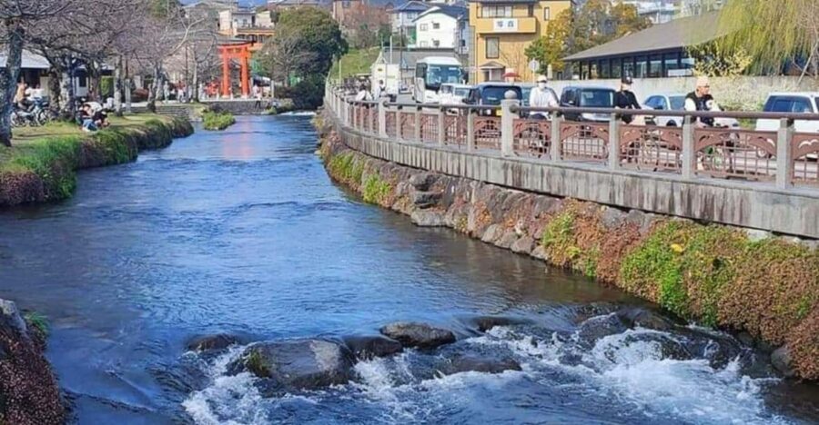 From Tokyo: Mount Fuji & hakone Private Full Day Trip - What Makes This Tour Stand Out?