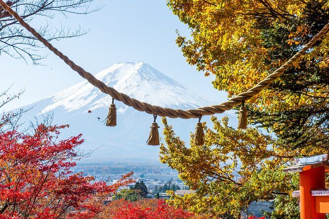 From Tokyo: Mount Fuji Highlights Tour with Kawaguchi Lake Cruise - Cost and Value Considerations