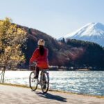 From Tokyo: Mount Fuji Instagram Spots 1-Day Private Tour - In-Depth Review of the Mount Fuji Private Tour