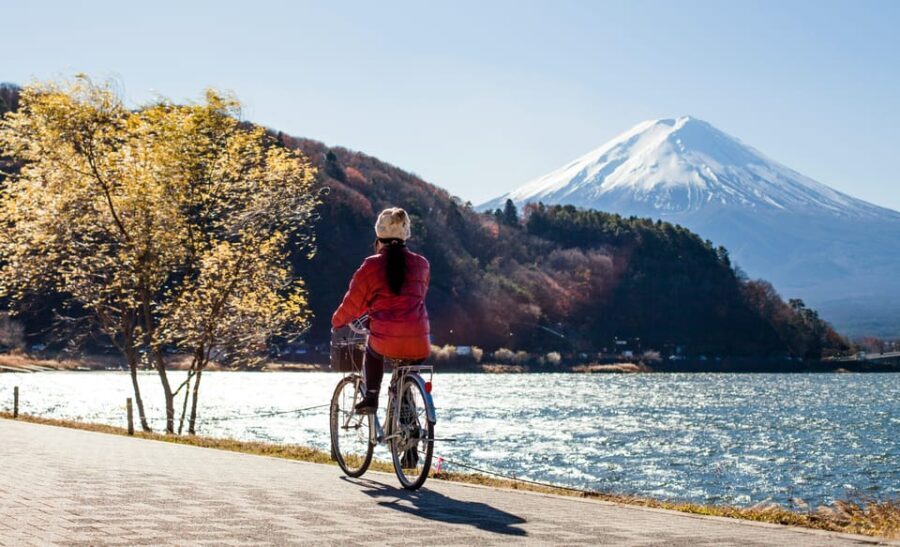 From Tokyo: Mount Fuji Instagram Spots 1-Day Private Tour - In-Depth Review of the Mount Fuji Private Tour