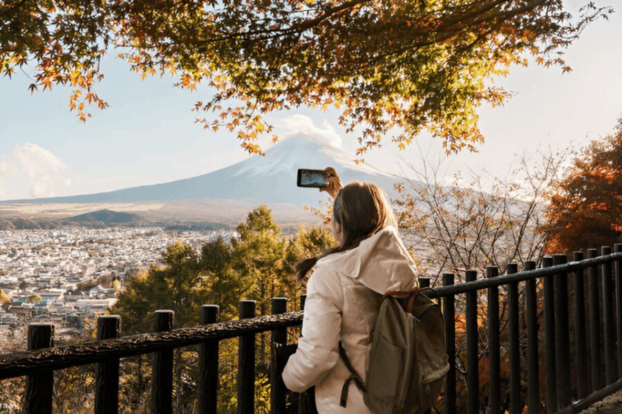 From Tokyo: Mount Fuji or Hakone Customized Day Trip - Exploring the Experience: What Sets This Tour Apart