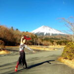 From Tokyo: Mount Fuji Private Day Tour Fully Customizable - Who Should Consider This Tour?