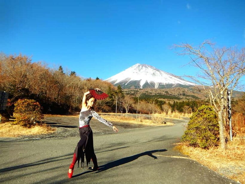 From Tokyo: Mount Fuji Private Day Tour Fully Customizable - Who Should Consider This Tour?