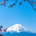 From Tokyo: Mount Fuji Private Day Tour With English Guide - The Sum Up