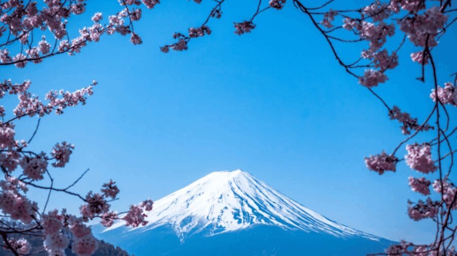 From Tokyo: Mount Fuji Private Day Tour With English Guide - The Sum Up