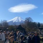 From Tokyo: Mount Fuji Private Day Trip with Pickup - Who Will Love This Tour?