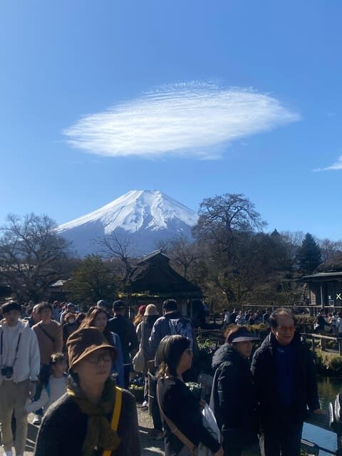 From Tokyo: Mount Fuji Private Day Trip with Pickup - Who Will Love This Tour?