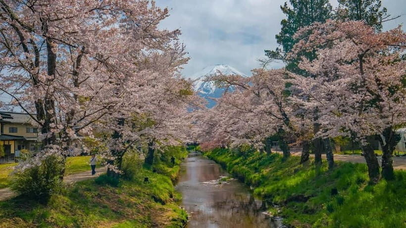 From Tokyo: Mount Fuji Private Tour with a Driver/Guide - A Deep Dive into the Mount Fuji Private Tour Experience