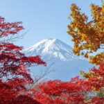 From Tokyo: Mount Fuji Sightseeing One Day Trip - A Detailed Look at the Tour Experience