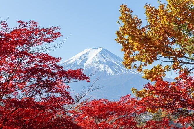 From Tokyo: Mount Fuji Sightseeing One Day Trip - A Detailed Look at the Tour Experience