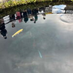 From Tokyo: Mt. Fuji 5th station and Oshino Hakkai Day Trip - Exploring the Details: What to Expect on Your Trip